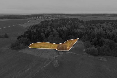 Prodej pozemku louky pozemek 7301 m², Niva,Prostějov,Olomoucký kraj