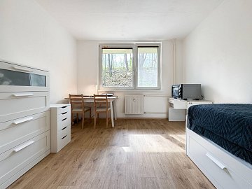 Pronájem bytu 1+kk 20 m², Jedovnická, Brno-Líšeň