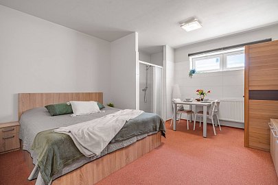 Prodej bytu 1+1 31 m², Karla Kryla, Brno-Sadová