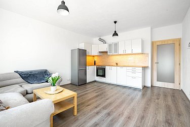 Prodej bytu (ateliér) 2+kk, Brno-Sadová