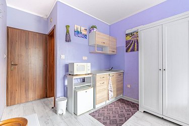 Pronájem bytu 1+kk, Brno-Bosonohy