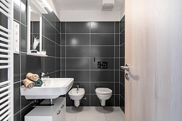 Prodej bytu (ateliér) 2+kk, Brno-Sadová