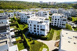 Prodej bytu (ateliér) 2+kk, Brno-Sadová