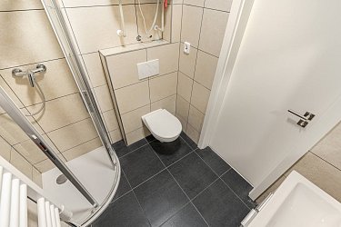 Pronájem bytu 1+kk Janův mlýn (404)